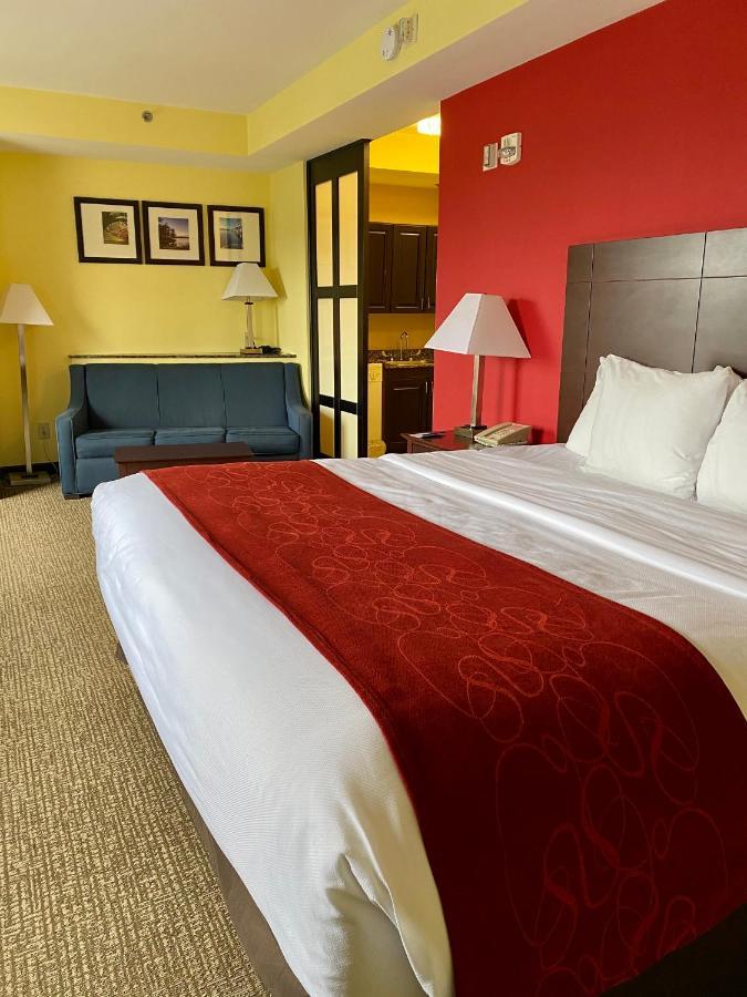 Comfort Suites Rock Hill Manchester Meadows Area Ngoại thất bức ảnh