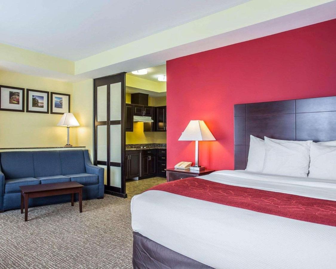 Comfort Suites Rock Hill Manchester Meadows Area Ngoại thất bức ảnh
